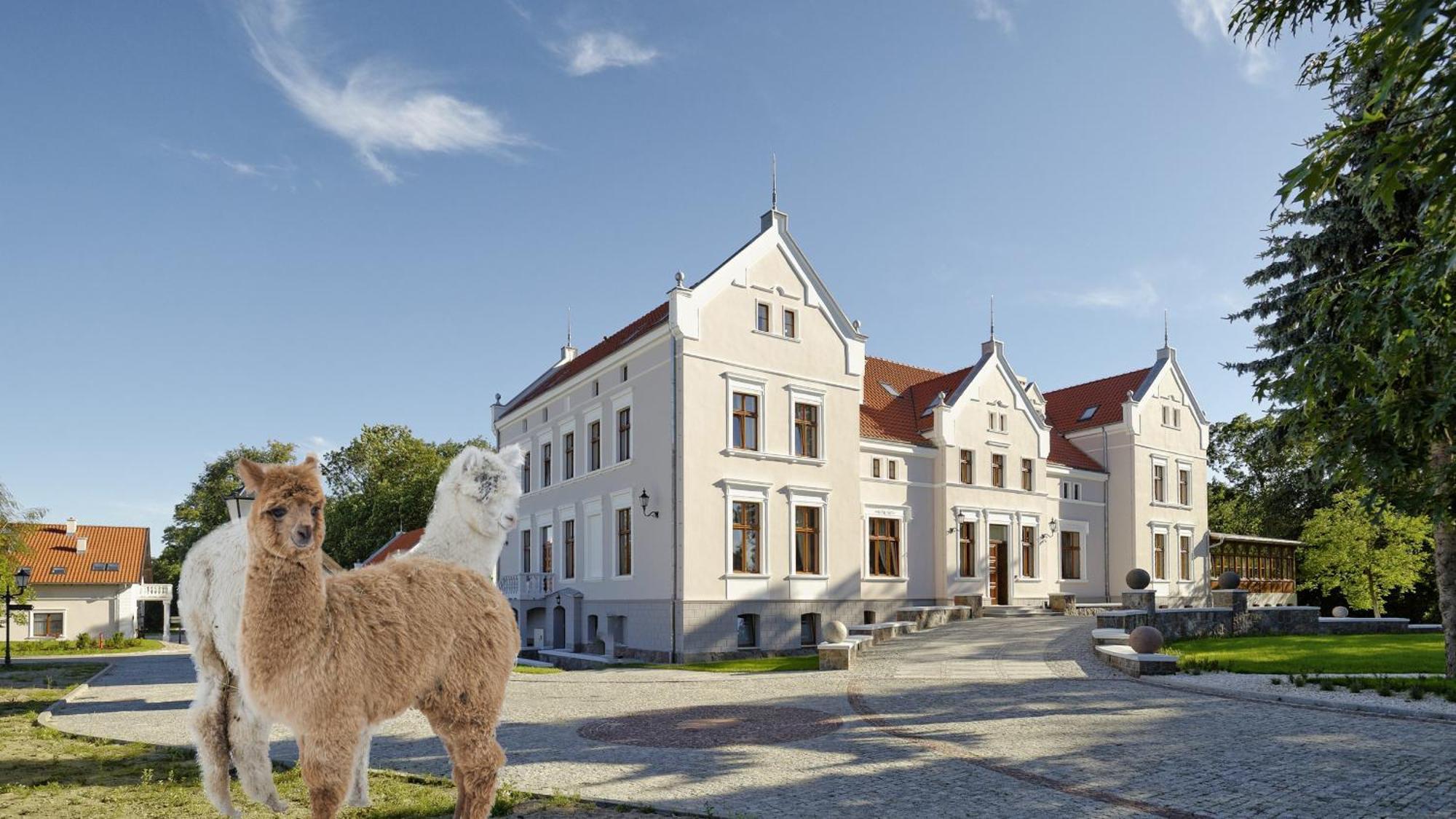 Palac Mortegi Hotel & Spa- Restauracja Szlachecka, Spa, Basen, Sauny, Jazda Konna, Mini Zoo- Luksus, Relaks I Przyroda W Jednym! Lubawa Dış mekan fotoğraf